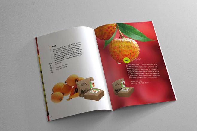 宣傳冊(cè)設(shè)計(jì)一般一頁多少錢？宣傳冊(cè)的特點(diǎn)有哪些？