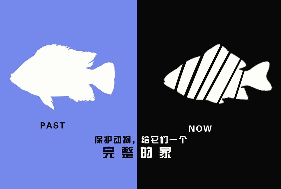 廣告設(shè)計(jì)制作有哪些要求？有哪些注意事項(xiàng)？