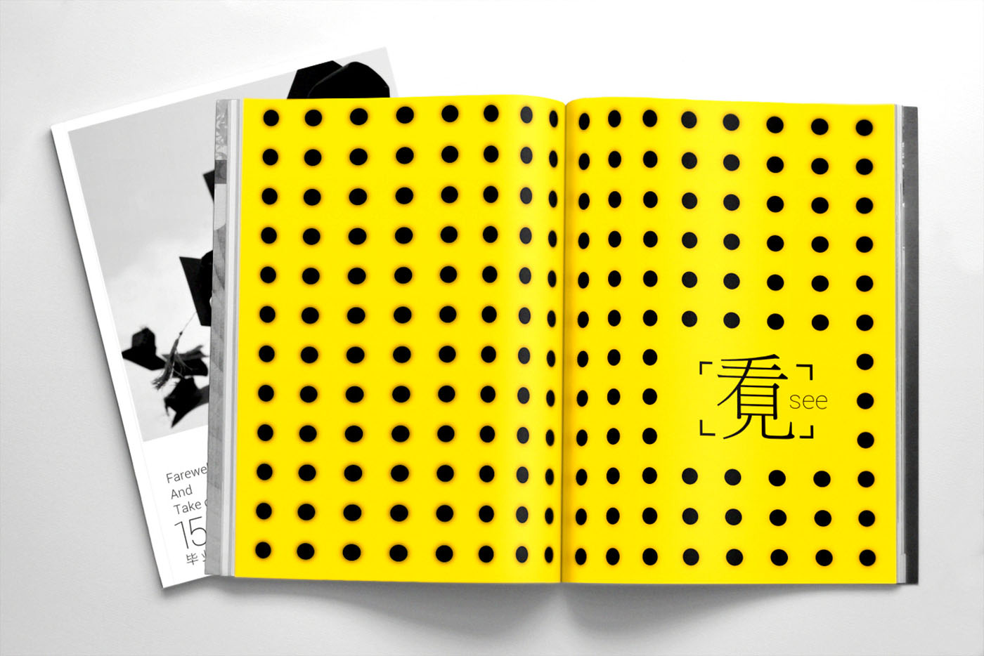 大學(xué)畢業(yè)紀(jì)念冊設(shè)計，畢業(yè)紀(jì)念冊設(shè)計公司