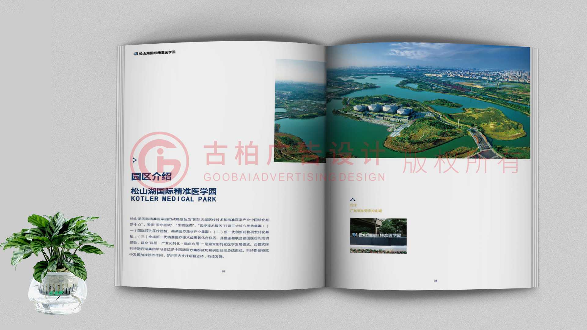 一本聚會(huì)紀(jì)念冊(cè)該如何通過(guò)排版來(lái)提升整體的美觀性？