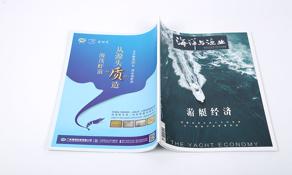 設(shè)計(jì)畫冊(cè)價(jià)格比較劃算？
